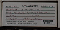 Image Associated With the Occurence